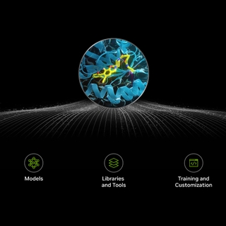 NVIDIA BioNeMo