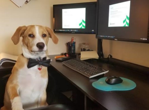 Colleagues Keeping Connected: Share Your Workspace