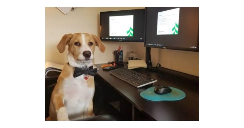 Week 2: Colleagues are "Keeping Connected"
