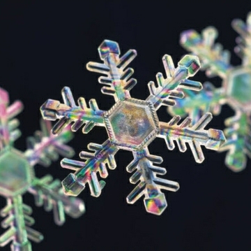 Building resilience against winter storms