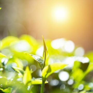 FM Global discusses ESG-related challenges facing risk managers at virtual 2021 Advisen Property Insights Conference