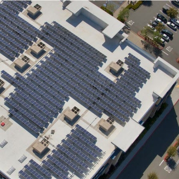 In ‘going green,’ companies can face surprising risks