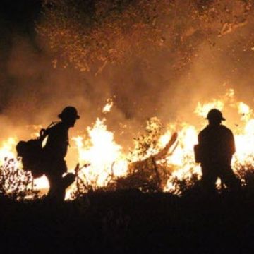 wildland_fire