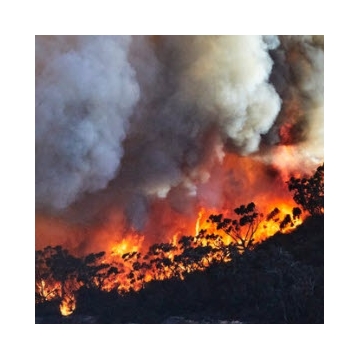 Climate change preparedness a competitive advantage