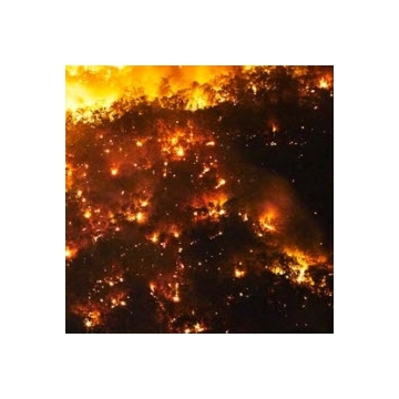 ‘Forever War’ with fire gas California battling forests instead