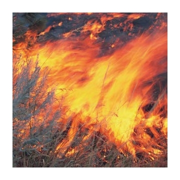 Wildfire ignition risks rise as temperatures climb
