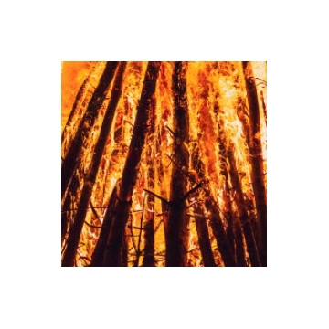 Three paths toward climate resilience