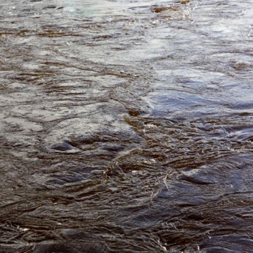 Climate change and ESG are valid concerns, but risk managers shouldn't panic