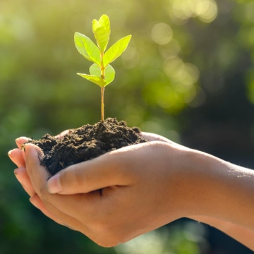 Policyholders demand property insurers have comprehensive ESG programs