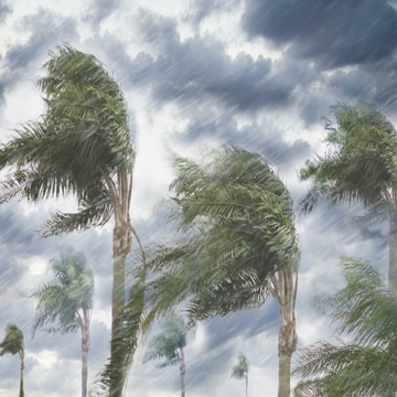 Extreme Weather Disrupts 62% of Industrial Businesses as Coverage Gaps Persist