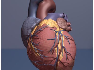 beating heart still