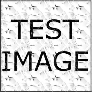 9f50538d_test