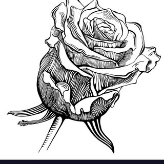 [u'black-and-white-digital-drawing-sketch-rose-vector-2890953', u'']