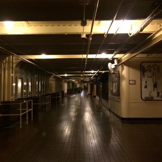 IMG_0501