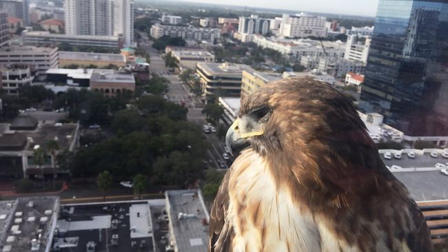 Duke Energy Foundation invests nearly $450,000 in Florida environmental nonprofits 