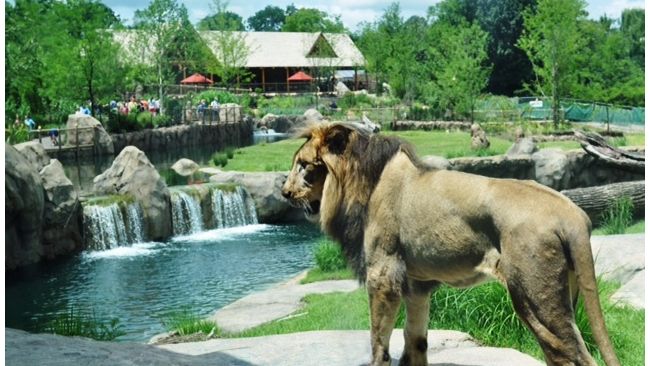 Duke Energy Foundation supports Cincinnati Zoo & Botanical Garden’s Living Classroom 
