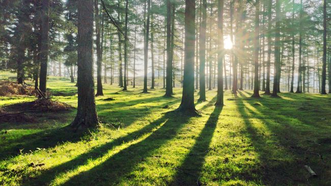 Duke Energy joins industry initiative to enhance sustainability reporting for investors