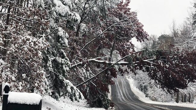 Duke Energy workforce of 9,000 responding to power outages in the Carolinas
