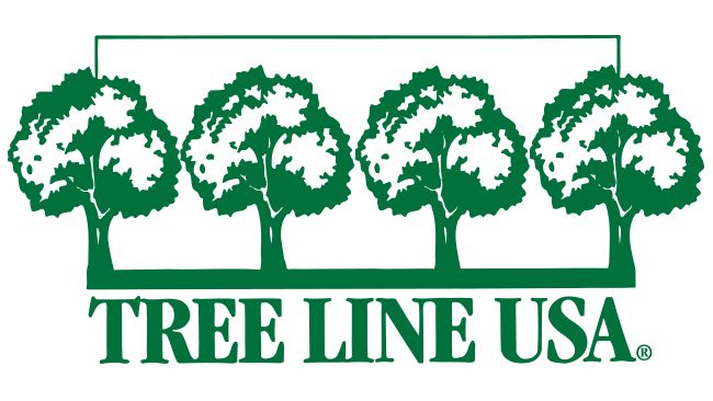 Duke Energy Florida recognized as Tree Line USA utility for 12th consecutive year