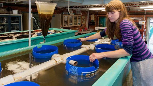 Southwest Ohio and Northern Kentucky environmental projects awarded more than $275,000 from Duke Energy