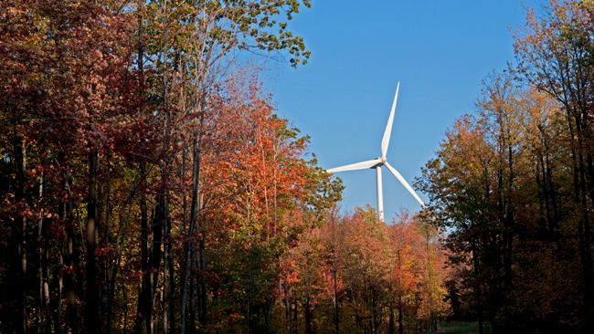 Top sustainable companies: Duke Energy makes it 13 years in a row