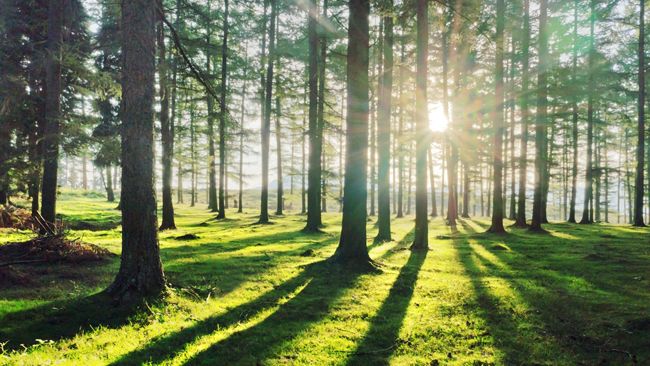 Duke Energy makes list of North America’s top sustainable companies for 14th straight year