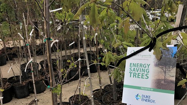 Duke Energy invests nearly $300,000 in projects that help protect, restore natural resources in South Carolina