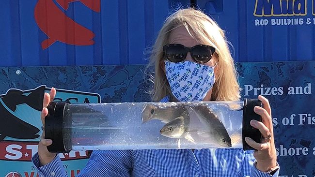 Port Tampa Bay releases 500 redfish donated by Duke Energy to restock bay
