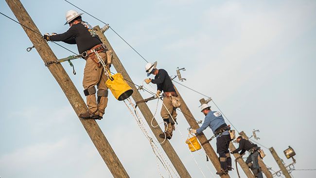 New electrical lineworker program and training ground now open at Florida's St. Petersburg College
