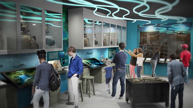 Duke Energy Foundation gives $100,000 to new 'Story of Florida Water' exhibit  at Florida Museum of Natural History in Gainesville