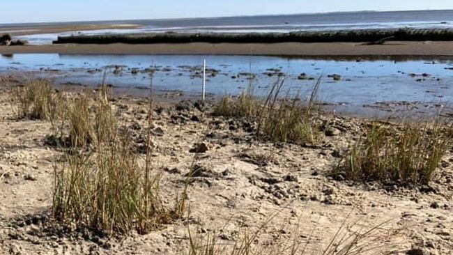 Florida Department of Environmental Protection completes initial revitalization of critical salt marsh habitat