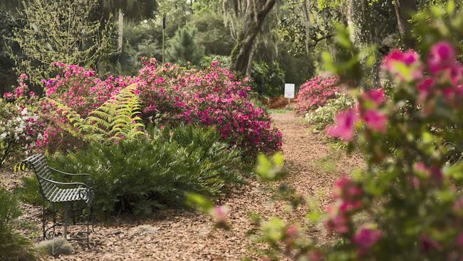 Duke Energy Florida invests $425,000 to preserve and protect Florida’s natural resources