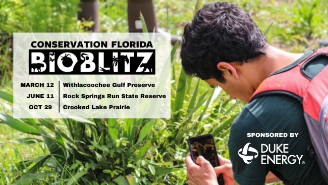 Conservation Florida, Duke Energy team up to offer free public bioblitz series 