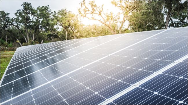 Duke Energy Florida’s first solar power plant in Bay County delivers clean, renewable energy to customers