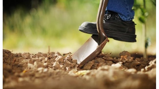 Piedmont Natural Gas, Duke Energy remind customers to call 811 before beginning spring digging projects 