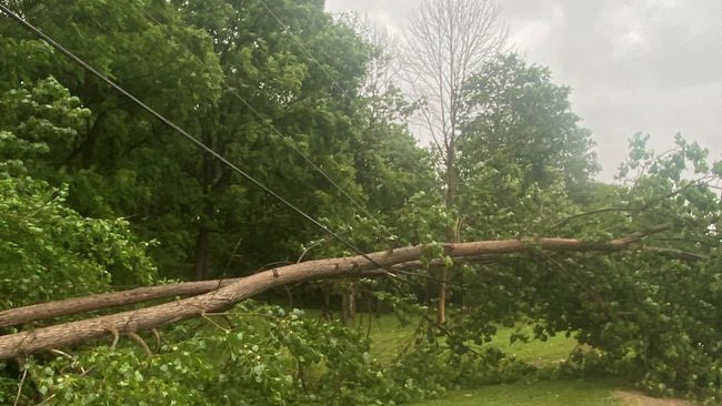 Duke Energy power restoration progresses with more than 169,000 customers now back in service