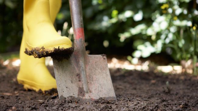 Dial before you dig – Piedmont Natural Gas and Duke Energy remind customers to call 811 on National Safe Digging Day 