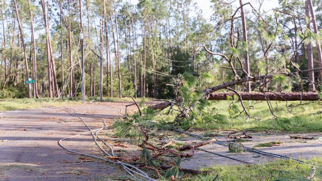 Duke Energy Florida estima concluir la restauración electrica este fin de semana tras el huracán Idalia