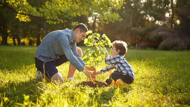 Duke Energy gives away trees to celebrate Florida Arbor Day 