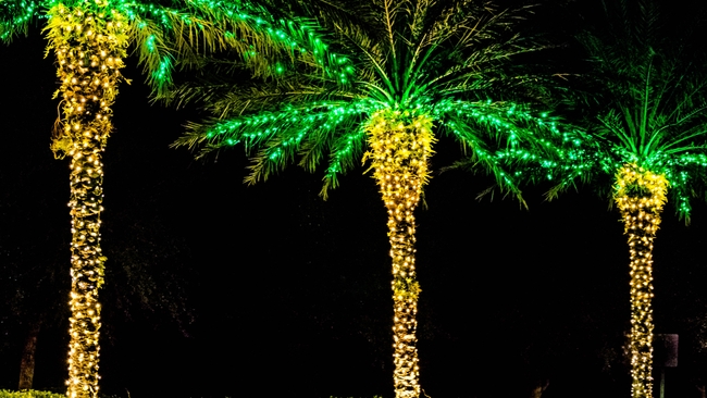 Duke Energy Florida’s '12 Days of Savings' offers schedule of suggested energy efficiency tips