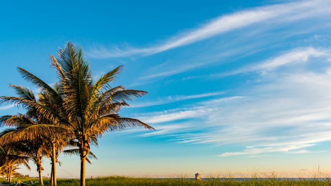 Duke Energy Foundation celebrates 40 years by awarding $40,000 to nonprofit organizations serving Florida 