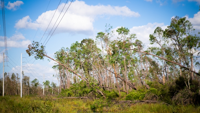 Duke Energy crews restore power for over 600,000 customers, establish estimated time of restoration for North Florida counties  