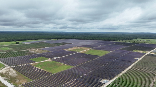 Duke Energy Florida completes solar energy sites in Hernando and Sumter counties, estimates $500 million in customer savings 