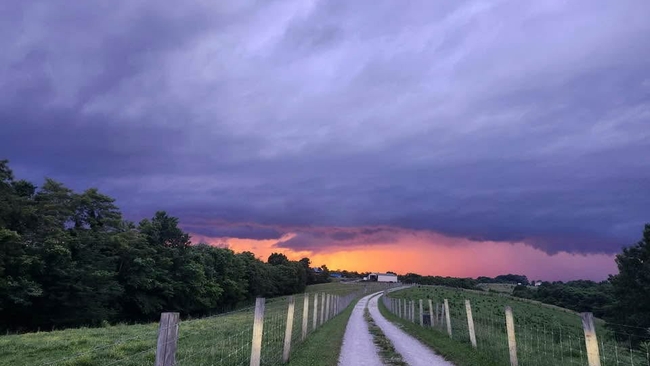 Duke Energy crews restore power to more than 41,000 after severe storms in Ohio/Kentucky