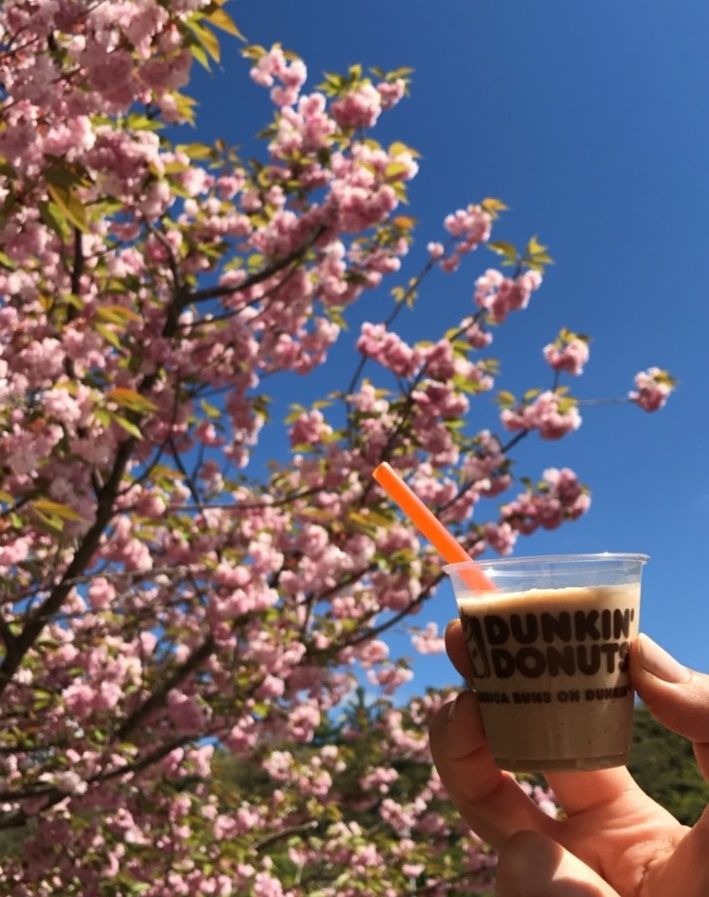 We’re Celebrating Frozen Dunkin’ Coffee with Free Samples Plus $1K Giveaways!