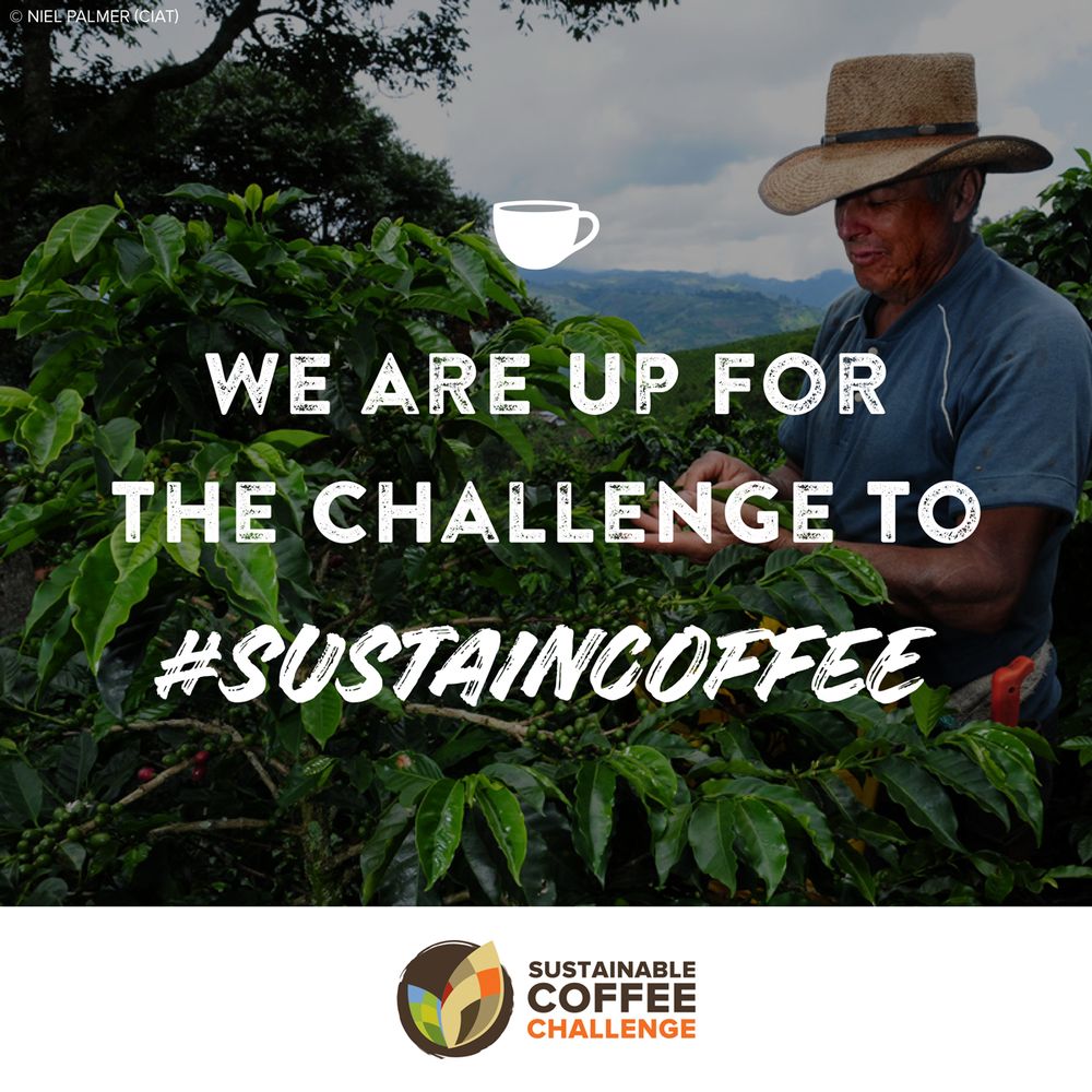 Dunkin’ Joins the Sustainable Coffee Challenge to Help Protect the Coffee We Love