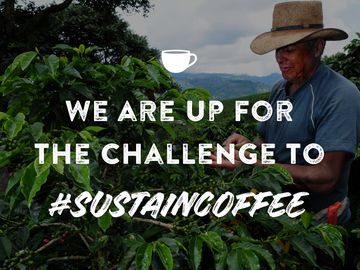 Dunkin’ Joins the Sustainable Coffee Challenge to Help Protect the Coffee We Love