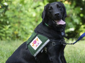 Unleashing our New Chief Joy Officer – Cooper Dunkin’  