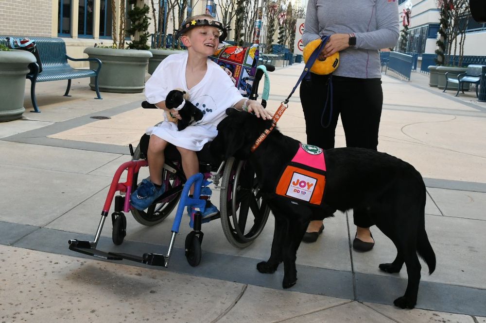 Joy in Childhood Foundation® Unleashes “Dogs for Joy”