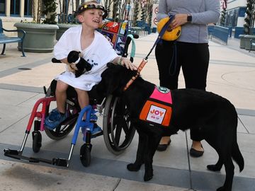 Joy in Childhood Foundation® Unleashes “Dogs for Joy”